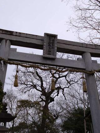 加麻良神社の参拝記録(くろろさん)