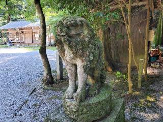 大水上神社の参拝記録(飛成さん)