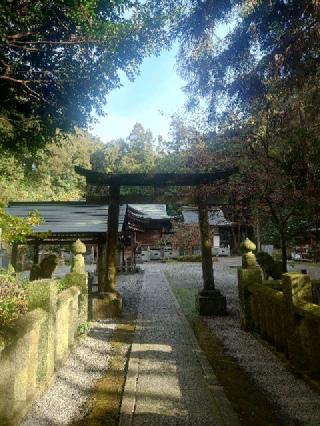 大水上神社の参拝記録(かずさん)