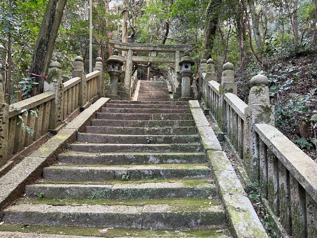 香川県三豊市高瀬町羽方2136-1 大水上神社の写真7