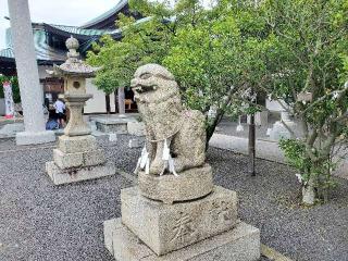 津嶋神社の参拝記録(飛成さん)