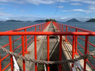 津嶋神社の参拝記録(まさきさん)