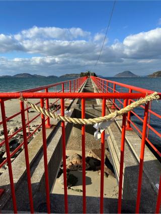 津嶋神社の参拝記録(やよいさん)