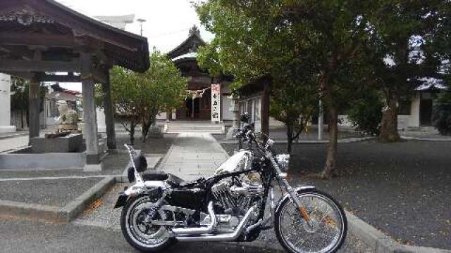 香川県三豊市三野町大見甲6816-2 津嶋神社の写真4