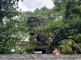 神谷神社の参拝記録(飛成さん)