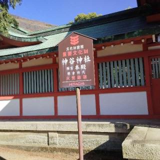 神谷神社の参拝記録(くるみかなさん)