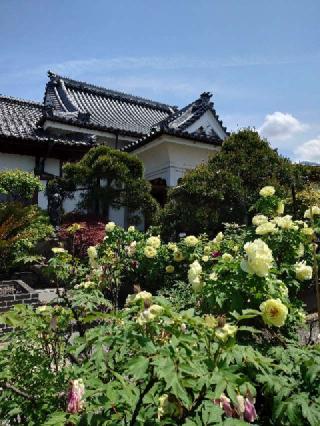 母巣山 少林寺の参拝記録(おざりんさん)