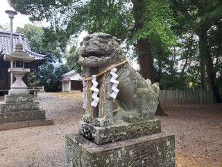 鰐河神社の参拝記録(飛成さん)