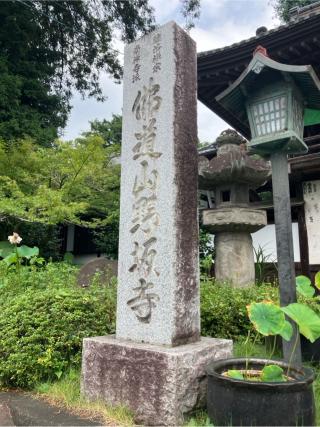 仏道山 野坂寺の参拝記録(りんさん)