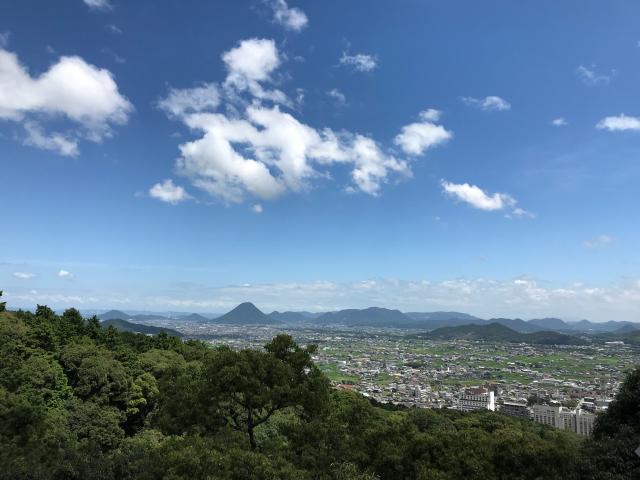 香川県仲多度郡琴平町892-1 金刀比羅宮の写真10