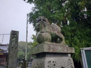 土居神社の参拝記録(飛成さん)