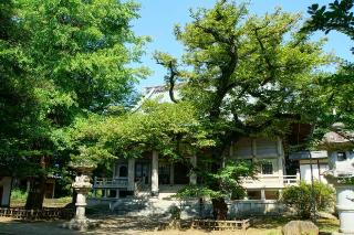 松光山東圓寺の参拝記録(thonglor17さん)