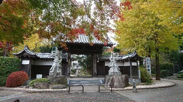 松光山東圓寺の参拝記録6