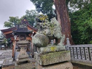 三皇神社の参拝記録(飛成さん)