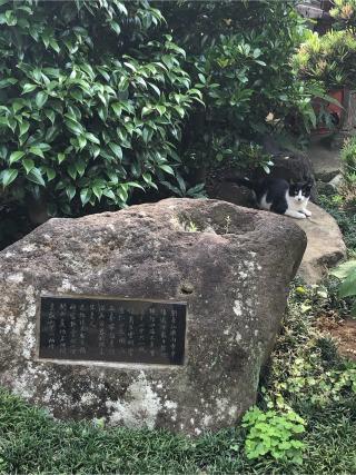 台雲寺の参拝記録(地獄耳さん)