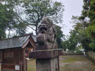 浦渡神社の参拝記録(飛成さん)