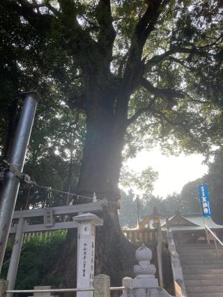 白山神社の参拝記録(カズさん)