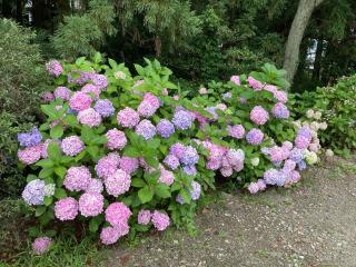 白山神社の参拝記録(カズさん)