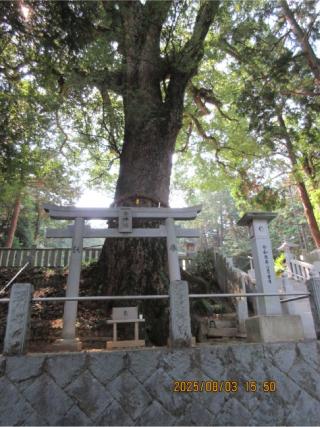 白山神社の参拝記録(アトレー乗りの旅人さん)