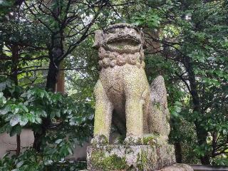 石土神社の参拝記録(飛成さん)