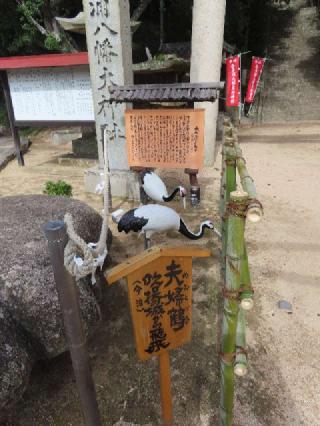 喜多浦八幡大神神社の参拝記録(悠さん)