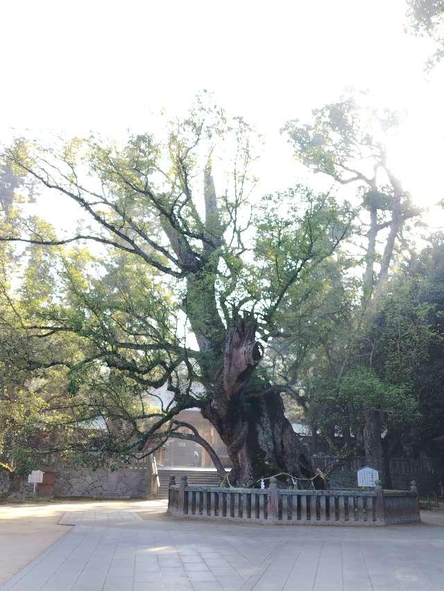 愛媛県今治市大三島町宮浦3327 大山祇神社（伊予国一宮）の写真11
