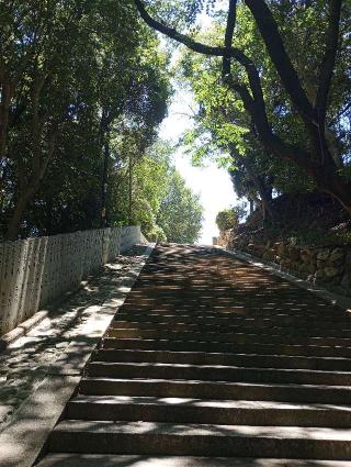 勝岡八幡神社の参拝記録(うまのんさん)