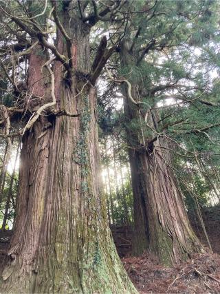 新宮神社の参拝記録(カズさん)