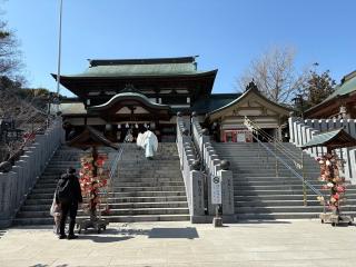 伊豫豆比古命神社（椿神社）の参拝記録(いけさん)