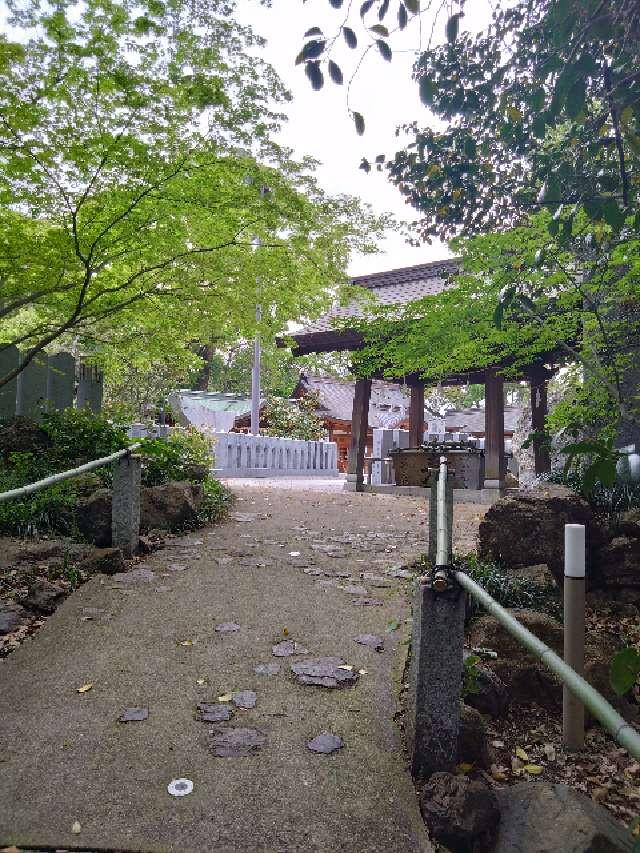 伊豫豆比古命神社（椿神社）の参拝記録3