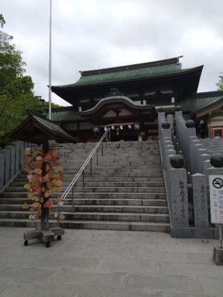 伊豫豆比古命神社（椿神社）の参拝記録(くろろさん)
