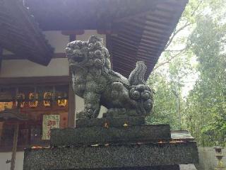 櫛玉比賣命神社の参拝記録(飛成さん)