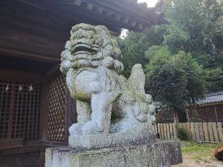 高縄神社の参拝記録(飛成さん)
