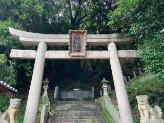 桑名神社（中島粟井）の参拝記録(カズさん)