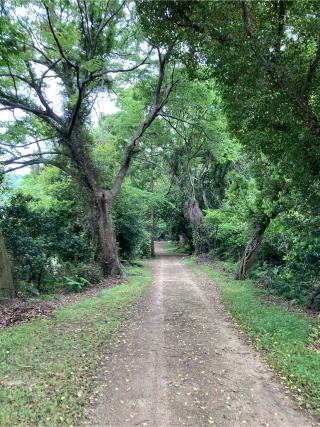 若宮八幡神社の参拝記録(カズさん)