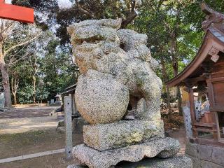 伊豫神社（上野）の参拝記録(飛成さん)