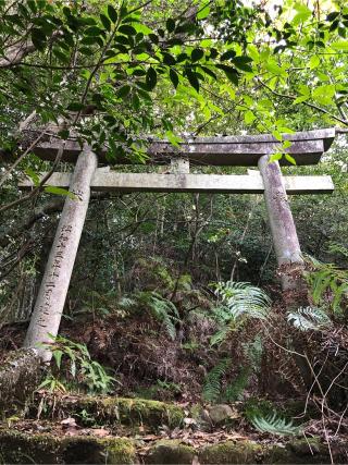 少彦名神社の参拝記録(ぐるたぬきさん)