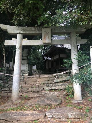 三嶋神社（藤縄）の参拝記録(ぐるたぬきさん)