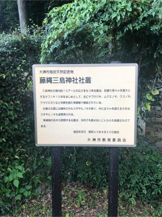 三嶋神社（藤縄）の参拝記録(ぐるたぬきさん)