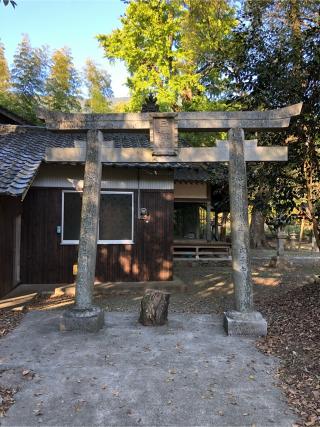 日枝神社の参拝記録(ぐるたぬきさん)
