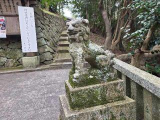 大洲神社の参拝記録(飛成さん)