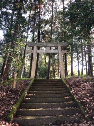 少彦名神社の参拝記録(ぐるたぬきさん)