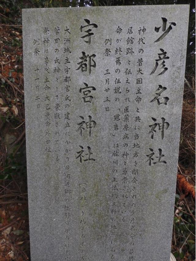 愛媛県大洲市菅田町大竹甲2583番地 少彦名神社の写真7