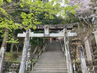一宮神社の参拝記録(カズさん)