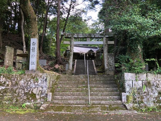 愛媛県宇和島市三間町音地甲1585番地 白鬚神社の写真1