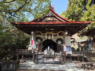 多賀神社の参拝記録(飛成さん)