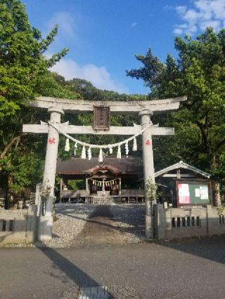 鳴無神社の参拝記録(ちぃさん)
