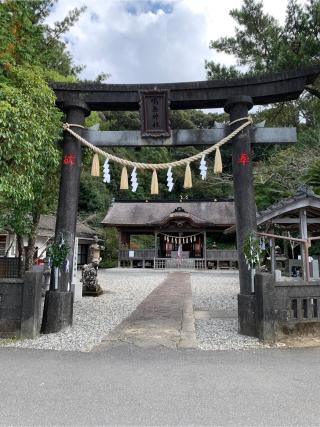 鳴無神社の参拝記録(まいちんさん)