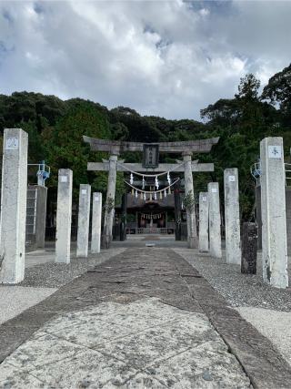 鳴無神社の参拝記録(まいちんさん)