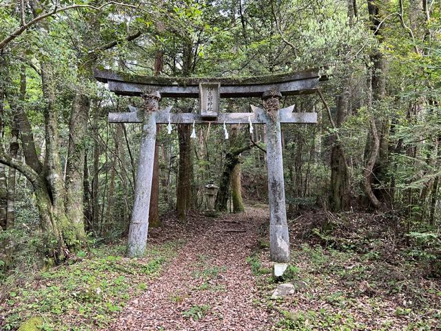 高知県土佐清水市下ノ加江３１３５ 伊豆田神社の写真3